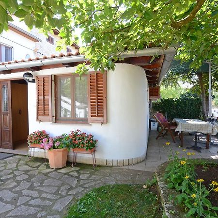 Apartment Amedea Kanfanar Dış mekan fotoğraf